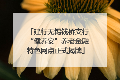 建行无锡钱桥支行“健养安”养老金融特色网点正式揭牌