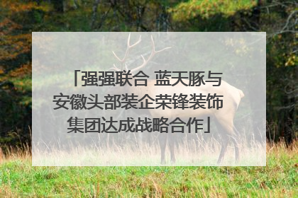 强强联合 蓝天豚与安徽头部装企荣锋装饰集团达成战略合作