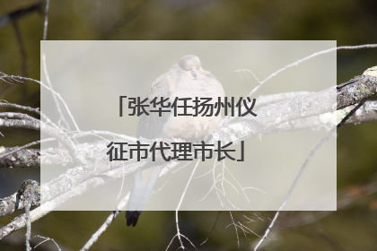 张华任扬州仪征市代理市长