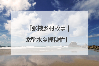 张掖乡村故事｜戈壁水乡插秧忙