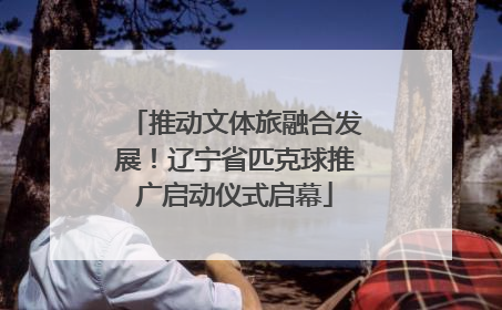 推动文体旅融合发展！辽宁省匹克球推广启动仪式启幕