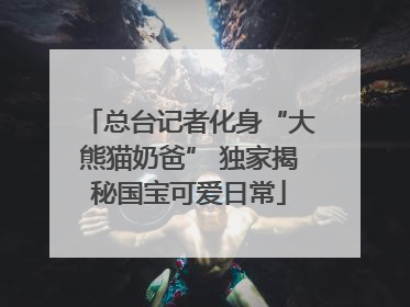 总台记者化身“大熊猫奶爸” 独家揭秘国宝可爱日常