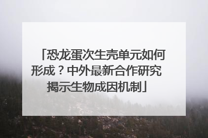 恐龙蛋次生壳单元如何形成？中外最新合作研究揭示生物成因机制