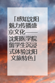 感知沈阳魅力传播盛京文化——沈阳医学院留学生沉浸式体验沈阳文旅特色
