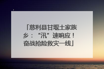 慈利县甘堰土家族乡：“汛”速响应！奋战抢险救灾一线