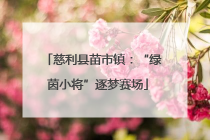 慈利县苗市镇：“绿茵小将”逐梦赛场