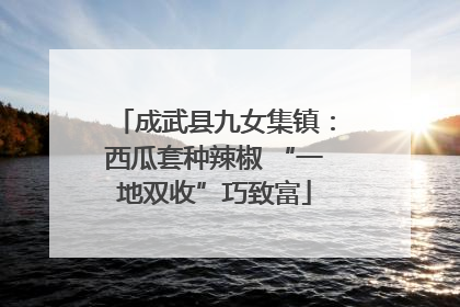 成武县九女集镇：西瓜套种辣椒 “一地双收”巧致富