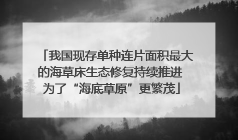 我国现存单种连片面积最大的海草床生态修复持续推进 为了“海底草原”更繁茂