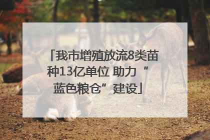 我市增殖放流8类苗种13亿单位 助力“蓝色粮仓”建设