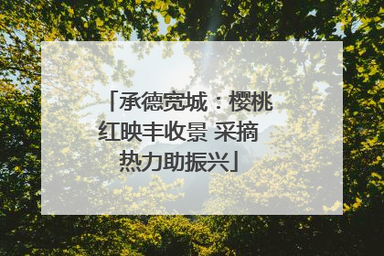 承德宽城：樱桃红映丰收景 采摘热力助振兴