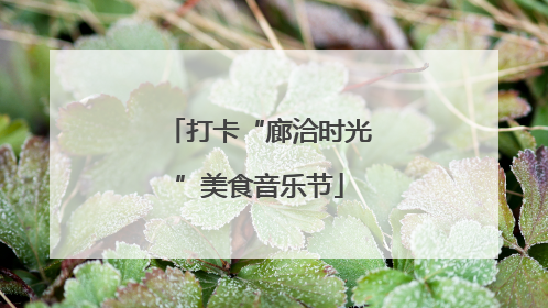 打卡“廊洽时光”美食音乐节