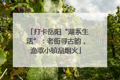 打卡岳阳“湖系生活”：老街寻古韵，渔歌小镇品烟火