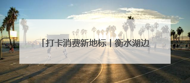 打卡消费新地标丨衡水湖边走一走，有水有鸟有乡愁