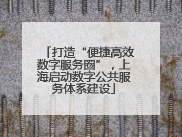 打造“便捷高效数字服务圈”，上海启动数字公共服务体系建设