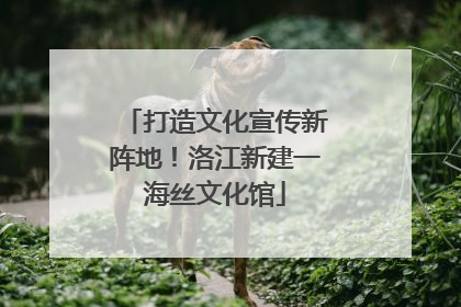 打造文化宣传新阵地！洛江新建一海丝文化馆