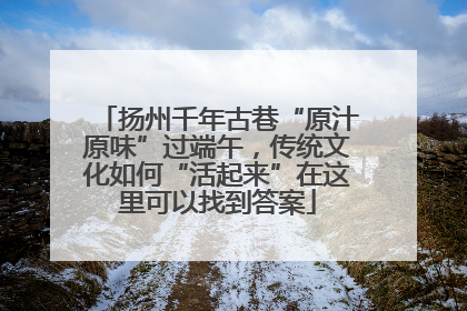 扬州千年古巷“原汁原味”过端午，传统文化如何“活起来”在这里可以找到答案