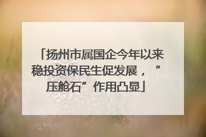 扬州市属国企今年以来稳投资保民生促发展，“压舱石”作用凸显