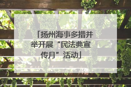 扬州海事多措并举开展“民法典宣传月”活动