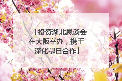 投资湖北恳谈会在大阪举办，携手深化鄂日合作