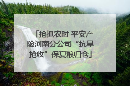 抢抓农时 平安产险河南分公司“抗旱抢收”保夏粮归仓