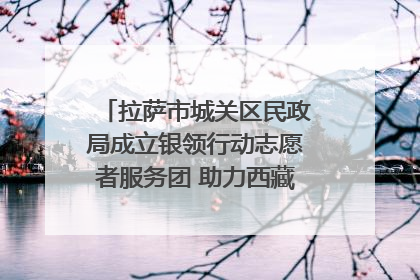拉萨市城关区民政局成立银领行动志愿者服务团 助力西藏银发经济发展