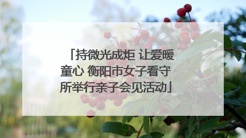 持微光成炬 让爱暖童心 衡阳市女子看守所举行亲子会见活动