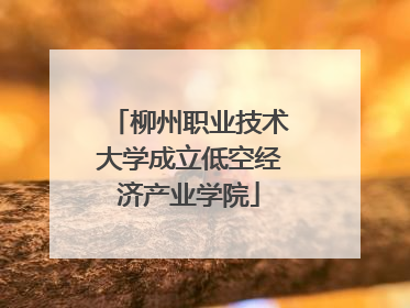 柳州职业技术大学成立低空经济产业学院