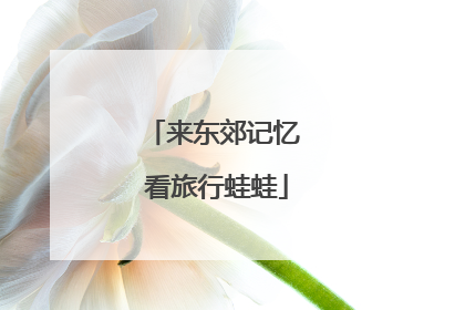 来东郊记忆 看旅行蛙蛙