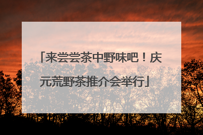 来尝尝茶中野味吧！庆元荒野茶推介会举行