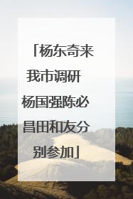 杨东奇来我市调研 杨国强陈必昌田和友分别参加