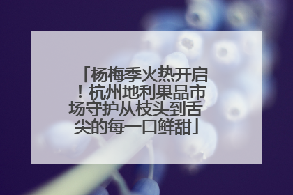 杨梅季火热开启！杭州地利果品市场守护从枝头到舌尖的每一口鲜甜