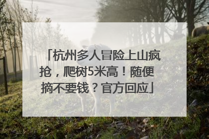 杭州多人冒险上山疯抢，爬树5米高！随便摘不要钱？官方回应