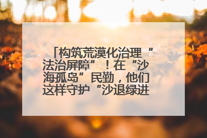 构筑荒漠化治理“法治屏障”！在“沙海孤岛”民勤，他们这样守护“沙退绿进”的生态奇迹