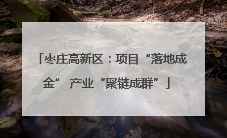 枣庄高新区：项目“落地成金” 产业“聚链成群”