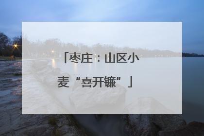 枣庄：山区小麦“喜开镰”