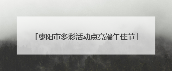 枣阳市多彩活动点亮端午佳节