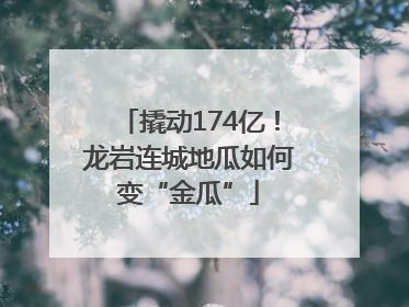 撬动174亿！龙岩连城地瓜如何变“金瓜”