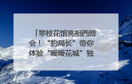 攀枝花馆亮相西博会！“豹局长”带你体验“暖暖花城”独特魅力｜西博视界