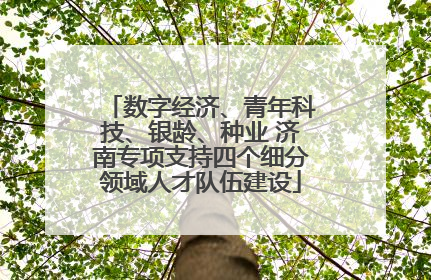 数字经济、青年科技、银龄、种业 济南专项支持四个细分领域人才队伍建设