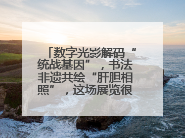 数字光影解码“统战基因”，书法非遗共绘“肝胆相照”，这场展览很有创意！