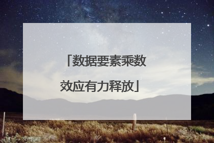 数据要素乘数效应有力释放