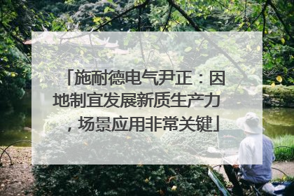 施耐德电气尹正：因地制宜发展新质生产力，场景应用非常关键