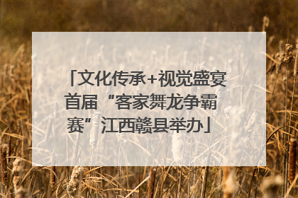 文化传承+视觉盛宴 首届“客家舞龙争霸赛”江西赣县举办