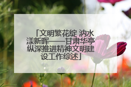 文明繁花绽 汭水漾新晖——甘肃华亭纵深推进精神文明建设工作综述