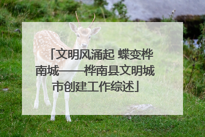 文明风涌起 蝶变桦南城——桦南县文明城市创建工作综述