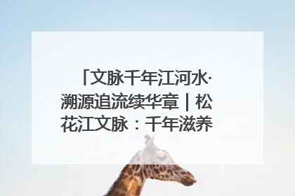 文脉千年江河水·溯源追流续华章｜松花江文脉：千年滋养，奔涌不息