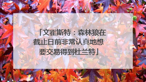 文霍斯特：森林狼在截止日前非常认真地想要交易得到杜兰特