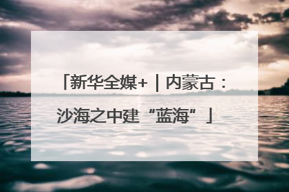 新华全媒+｜内蒙古：沙海之中建“蓝海”