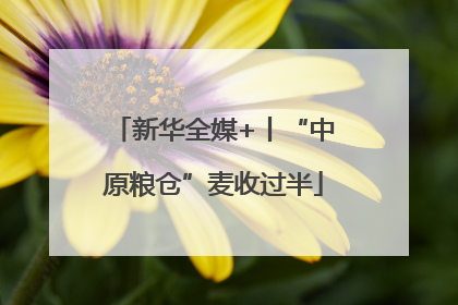 新华全媒+丨“中原粮仓”麦收过半