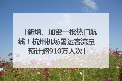 新增、加密一批热门航线！杭州机场暑运客流量预计超910万人次